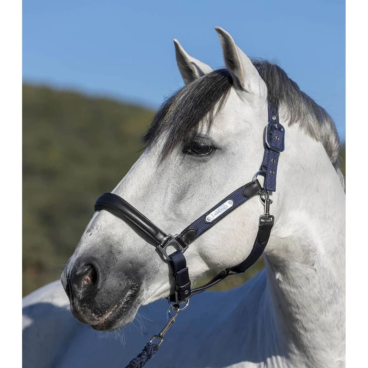 LeMieux Capella Headcollar – Navy 2 LeMieux Capella Headcollar – Navy - Image 2