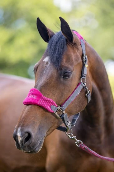 LeMieux Vogue Fleece Headcollar & Leadrope – Mulberry/Grey 1 LeMieux Vogue Fleece Headcollar & Leadrope – Mulberry/Grey