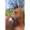 LeMieux Anatomic Leather Headcollar – Brown