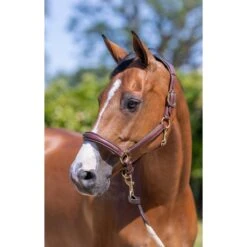 LeMieux Anatomic Leather Headcollar – Brown