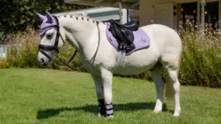 Le Mieux Mini Suede Jump Square – Wisteria -Le Mieux Rider Finds 4d9a7285 scaled 1