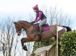 LeMieux Base Layer – Plum -Le Mieux Rider Finds 6b2028bddb888277f1515d4c4aafa7c8.image .743x550