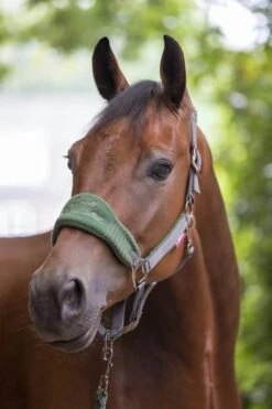 LeMieux Vogue Fleece Headcollar & Leadrope – Hunter Green