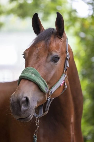 LeMieux Vogue Fleece Headcollar & Leadrope – Hunter Green 1 LeMieux Vogue Fleece Headcollar & Leadrope – Hunter Green