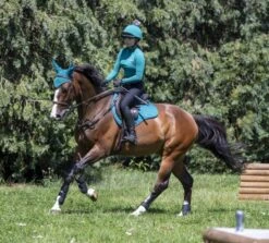 LeMieux Base Layer – Peacock -Le Mieux Rider Finds 84b709a42d320efb5bd620c1aede3f00.image .610x550