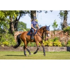 LeMieux Carbon Mesh Close Contact Square – Navy -Le Mieux Rider Finds 8f191465757d5783be9e6863151c1039.image .1200x1200