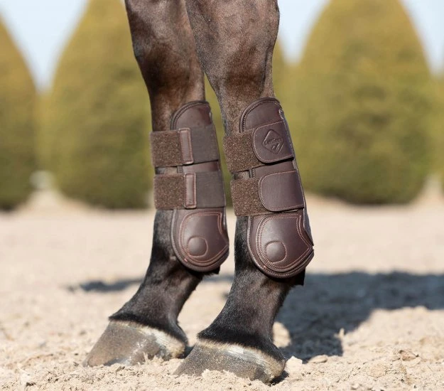 LeMieux Capella Tendon Boot 1 LeMieux Capella Tendon Boot
