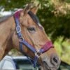 LeMieux Vogue Fleece Headcollar & Leadrope – Burgundy/Navy