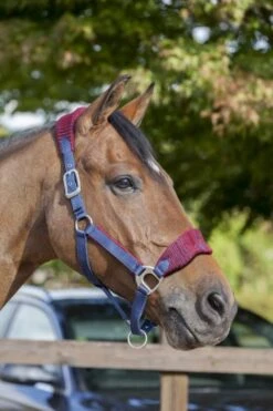 LeMieux Vogue Fleece Headcollar & Leadrope – Burgundy/Navy