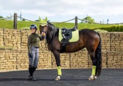 Le Mieux Rider Finds -Le Mieux Rider Finds DYNdUGyI