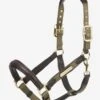 LeMieux Capella Headcollar – Forest
