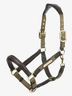 LeMieux Capella Headcollar – Forest