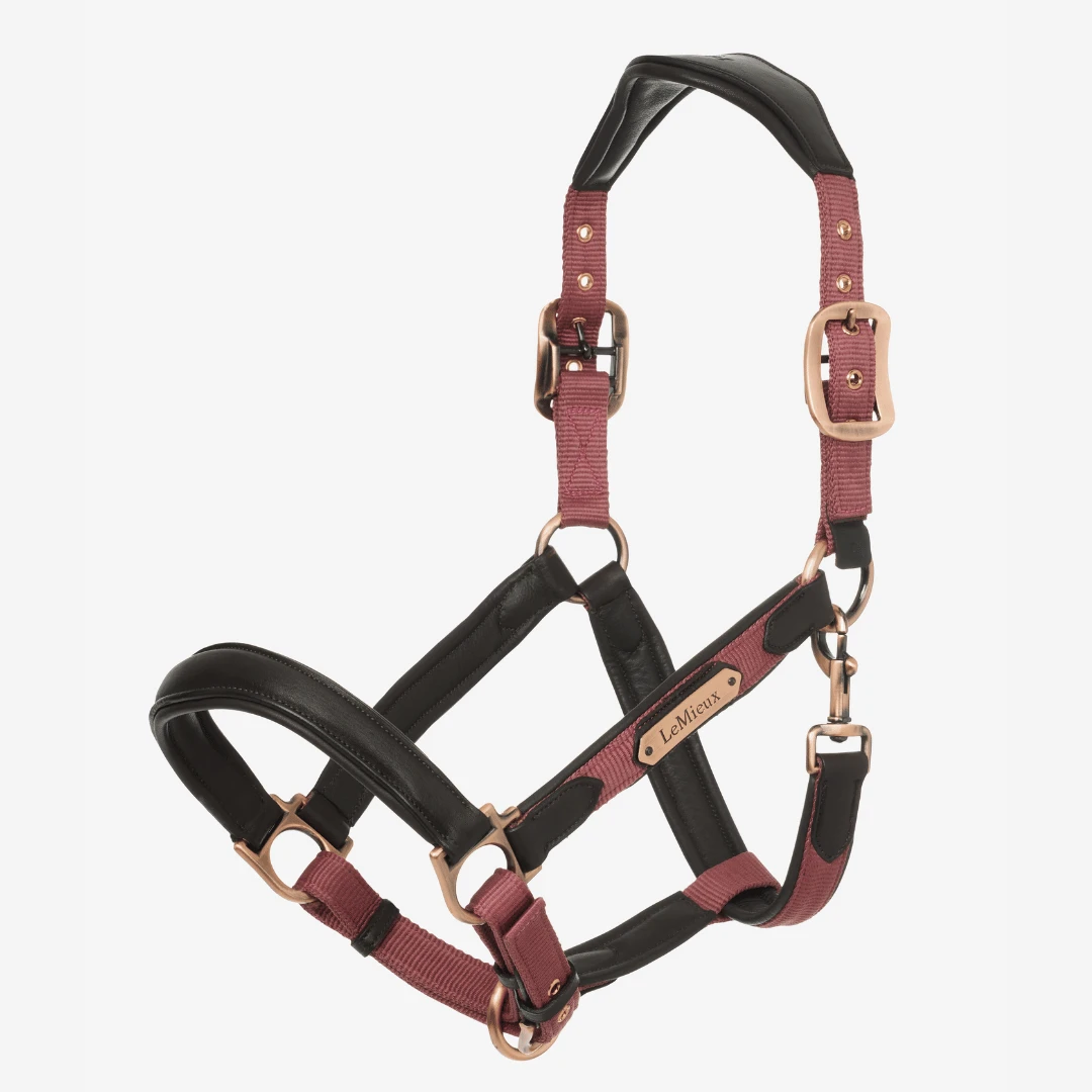 LeMieux Capella Headcollar – Orchid 1 LeMieux Capella Headcollar – Orchid
