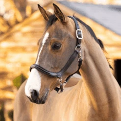 Le Mieux Rider Finds -Le Mieux Rider Finds Untitled design25