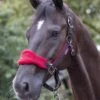 LeMieux Vogue Fleece Headcollar & Leadrope -Chilli/Black