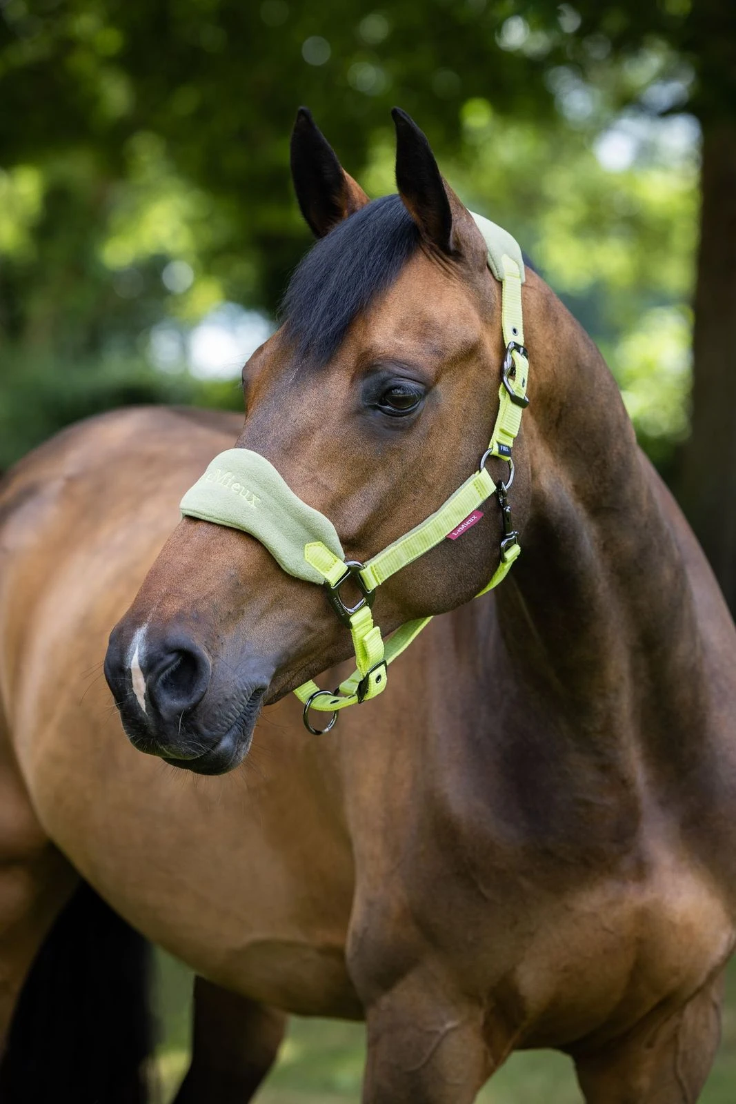 LeMieux Vogue Fleece Headcollar & Leadrope – Kiwi 2 LeMieux Vogue Fleece Headcollar & Leadrope – Kiwi - Image 2