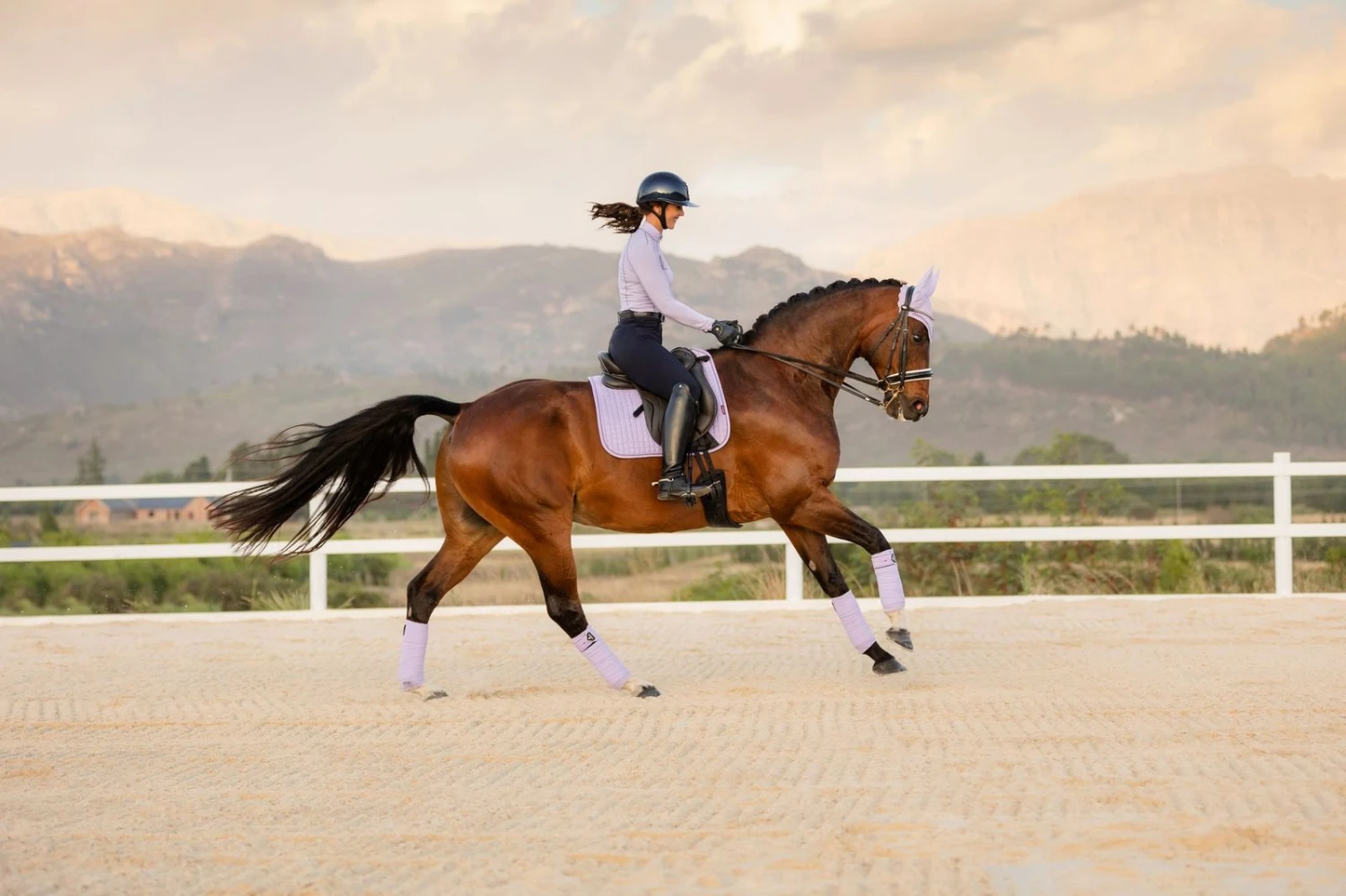 LeMieux Dressage Suede Square – Wisteria 2 LeMieux Dressage Suede Square – Wisteria - Image 2