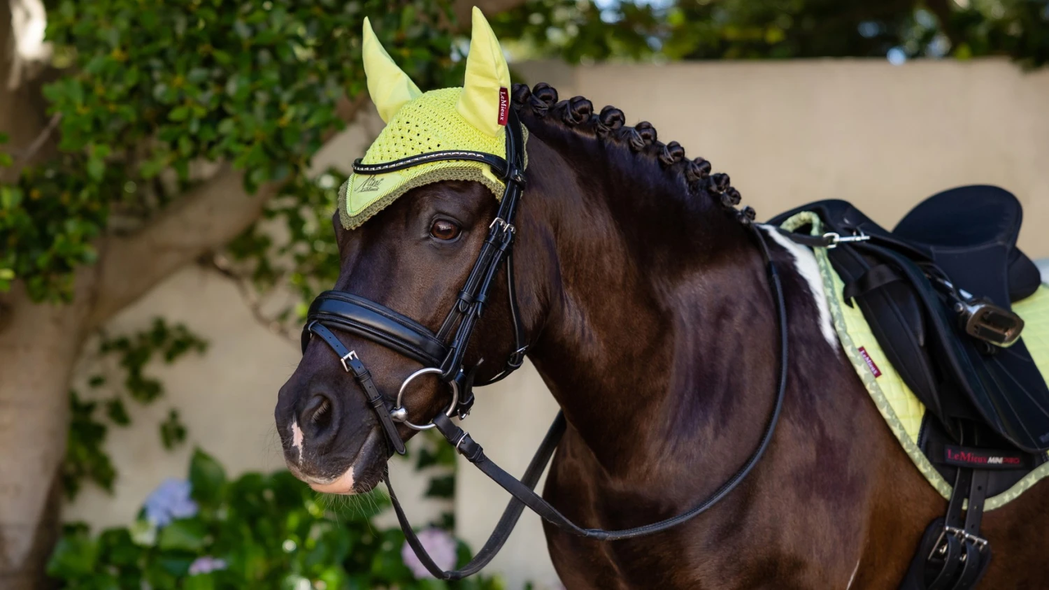 LeMieux Mini Fly Hood – Kiwi 3 LeMieux Mini Fly Hood – Kiwi - Image 3