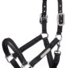 LeMieux Capella Headcollar – Black