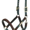 LeMieux Capella Headcollar – Sage