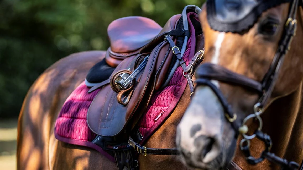 LeMieux Carbon Mesh Close Contact Square – Mulberry 2 LeMieux Carbon Mesh Close Contact Square – Mulberry - Image 2