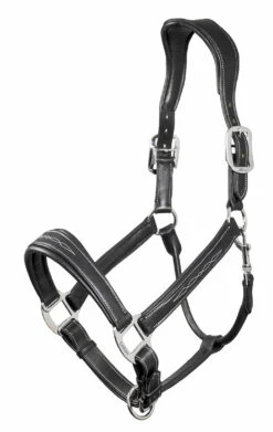 LeMieux Leather Stitched Headcollar – Black