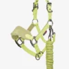 Le Mieux Mini Vogue Headcollar And Leadrope – Kiwi