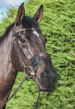 LeMieux Comfort Shield Nose Filter – Black