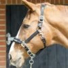 LeMieux ProSafe Headcollar