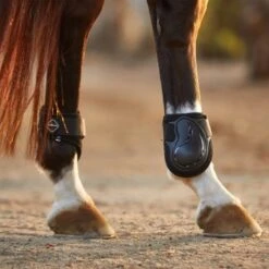 LeMieux Derby Projump Fetlock Boots