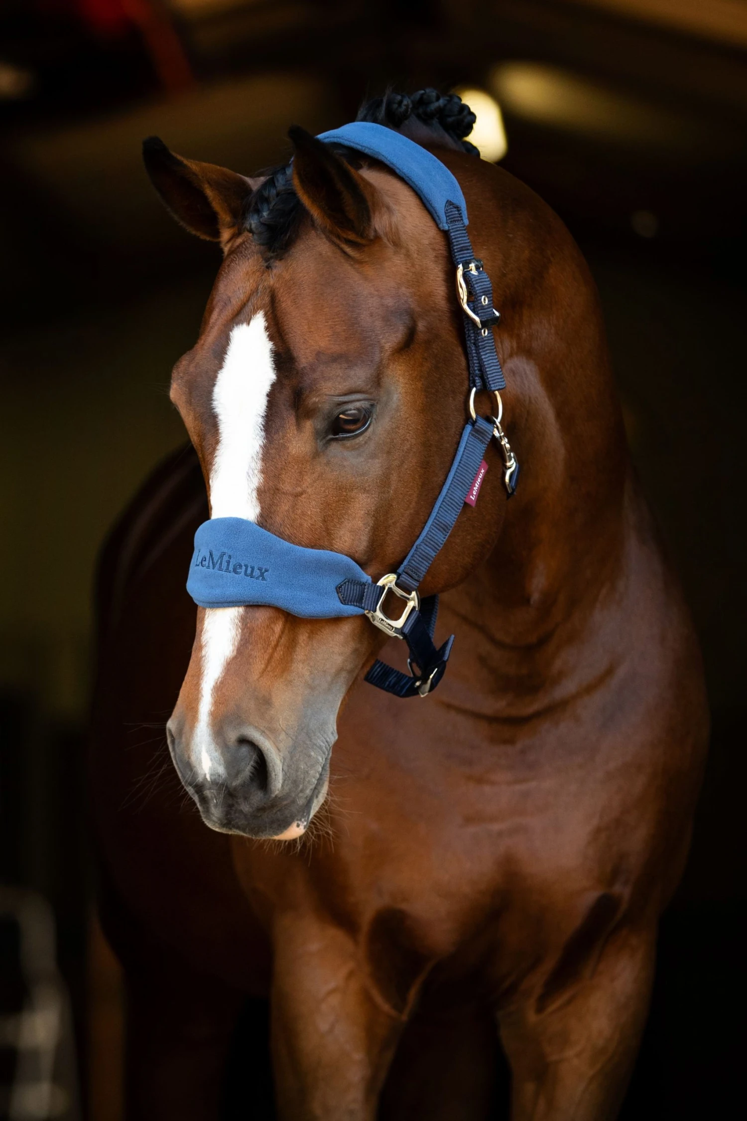 LeMieux Vogue Fleece Headcollar & Leadrope – Atlantic 2 LeMieux Vogue Fleece Headcollar & Leadrope – Atlantic - Image 2